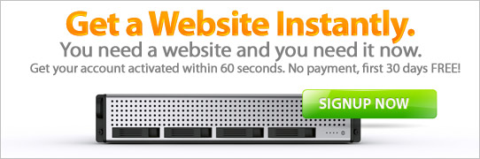 Website Hosting